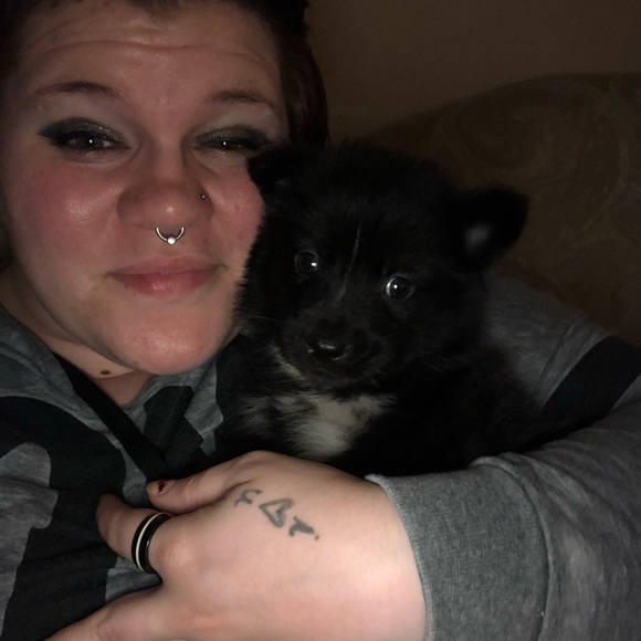 Meet your Posher, Shelby - Picture 1 of 1